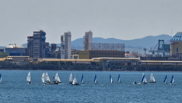 2024 포항시장배 세일링 챔피언십 대회 성황리 종료