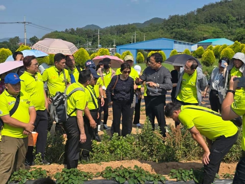 대만고구마연합회 현장견학 / 사진=해남군 제공