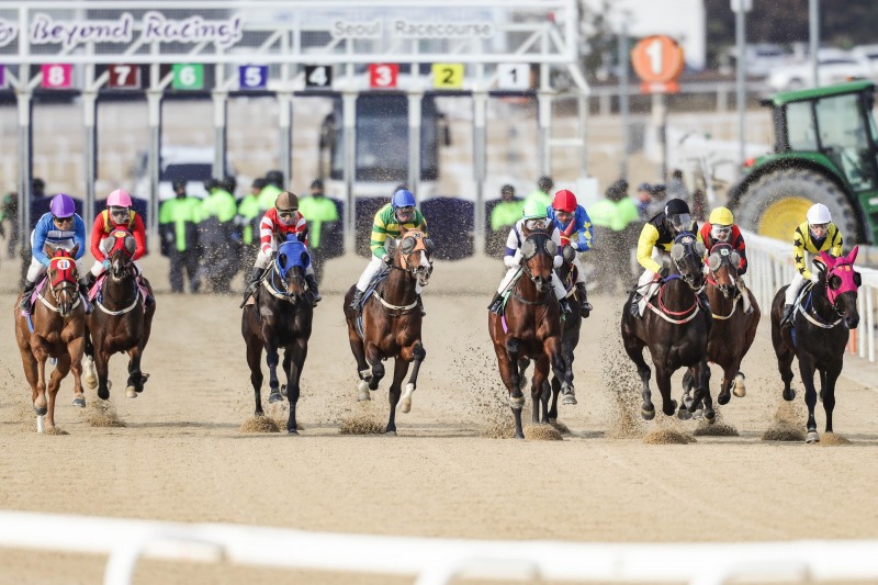 온라인 마권발매 정식 운영 시작하는 한국마사회의 경마경주