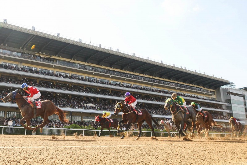 온라인 마권발매 정식 운영 시작하는 한국마사회의 경마경주