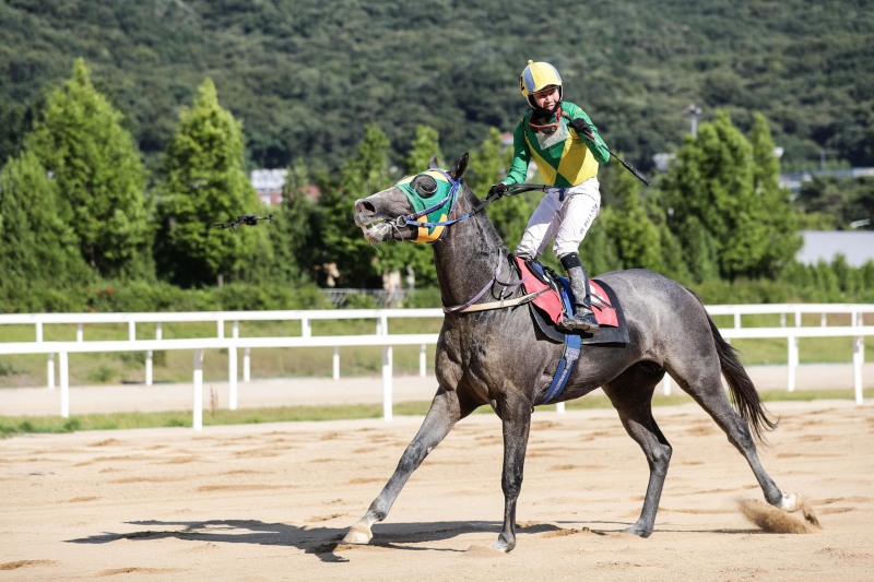 농식품부장관배 우승한 석세스백파와 유현명기수