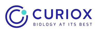 큐리옥스, 신주 1만주 추가 상장…주식매수선택권 물량