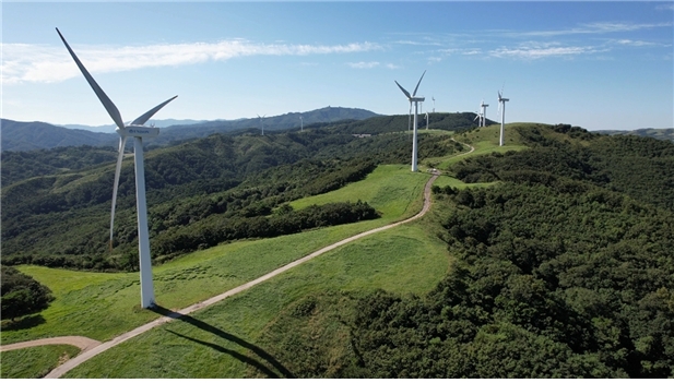 강원풍력발전 발전단지 전경사진. / 사진=IBK기업은행 제공