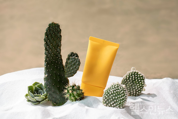 클립아트코리아