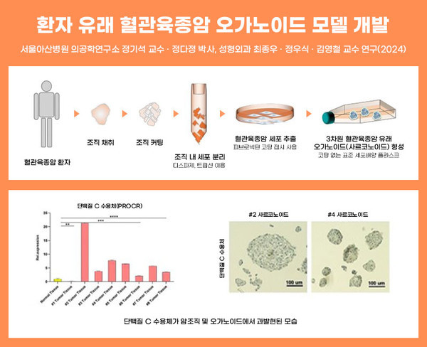 환자유래혈관육종암오가노이드모델개발
