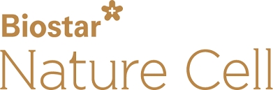 네이처셀, 주가 급등…'조인트스템' 품목허가 기대감