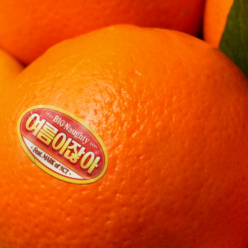 BIG Naughty(서동현), 26일 청량 서머송 ‘여름이잖아’ 발매…‘NCT 마크 피처링’