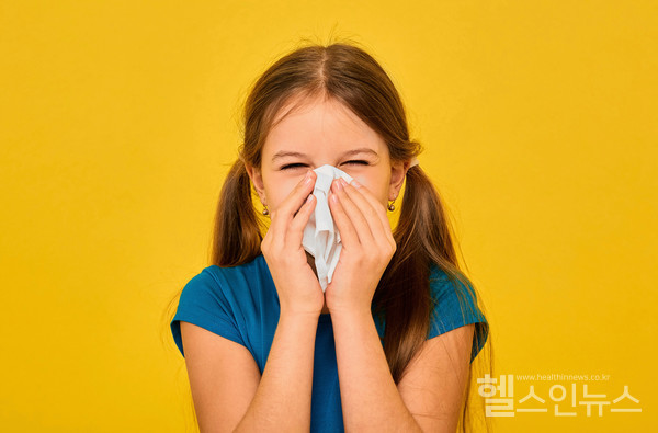 클립아트코리아