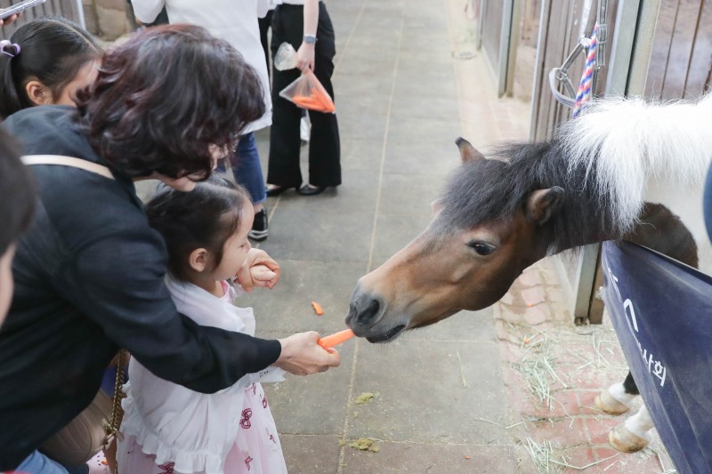 한국마사회, 과천시민 서울경마공원 견학이벤트 성황