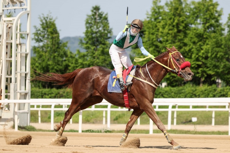 서울경마 최상위권으로의 도약을 위한 1등급 2000m 경주