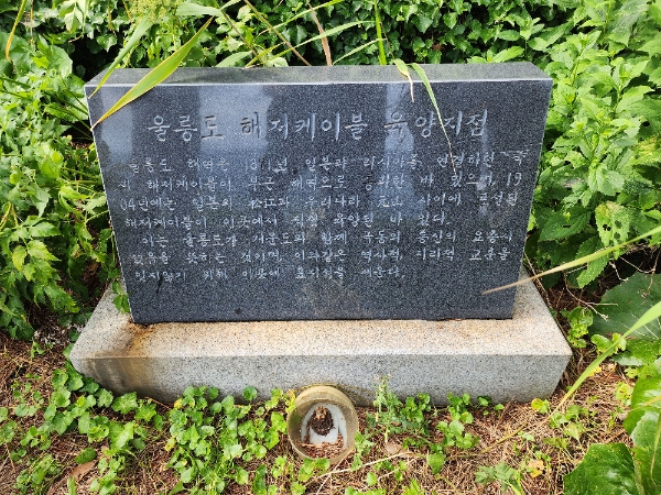 울릉도 해저 케이블 육양지점 표지석