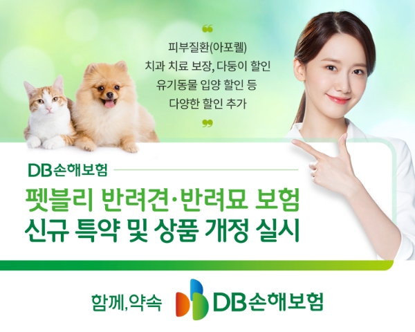 사진=DB손해보험 제공