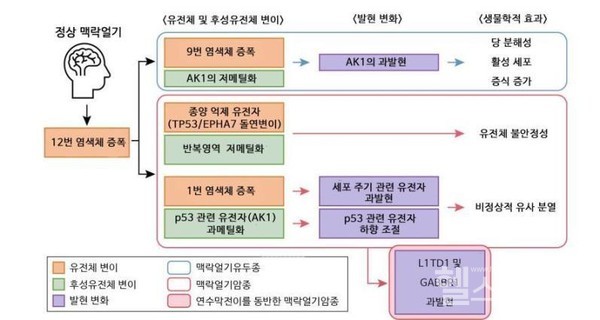 맥락얼기유두종및맥락얼기암종의유전학적/후성유전학적차이점연구결과요약