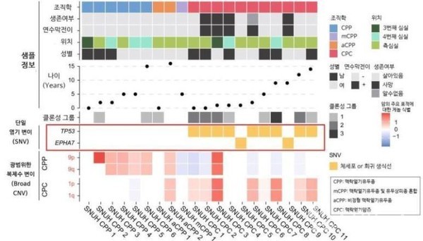 맥락얼기종양환자의샘플정보및유전자변이연구결과TP53돌연변이가없는맥락얼기암종환자에서‘EPHA7변이’가발견됨