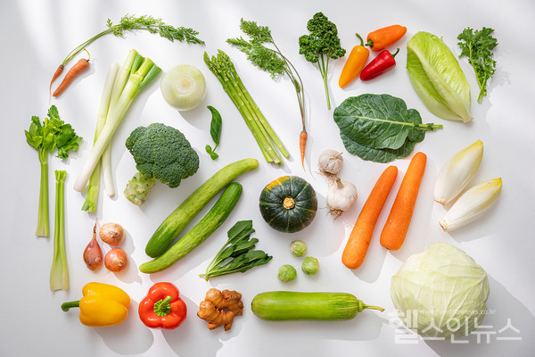 클립아트코리아