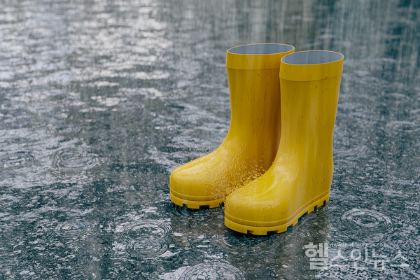 클립아트코리아