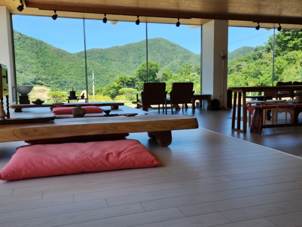 “문경다원” 문경의 새로운 관광명소로 탄생!