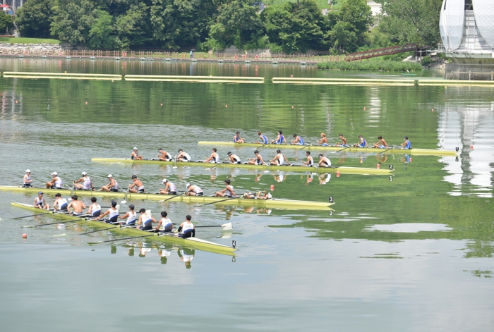조정대회 관련 사진