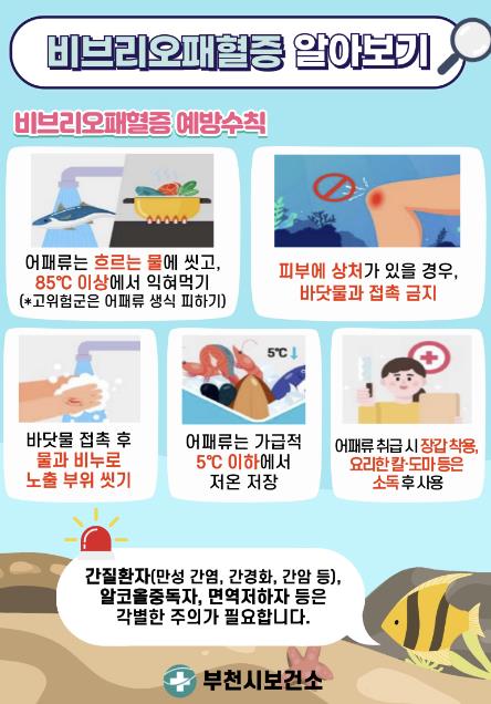 비브리오패혈증 예방수칙 안내문