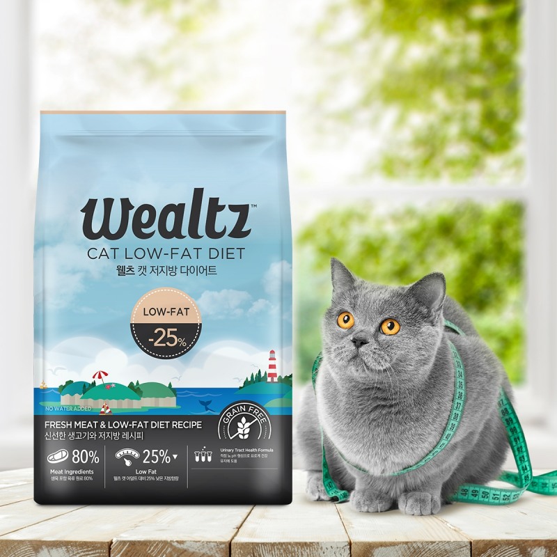 이미지=월츠 캣 저지방 다이어트