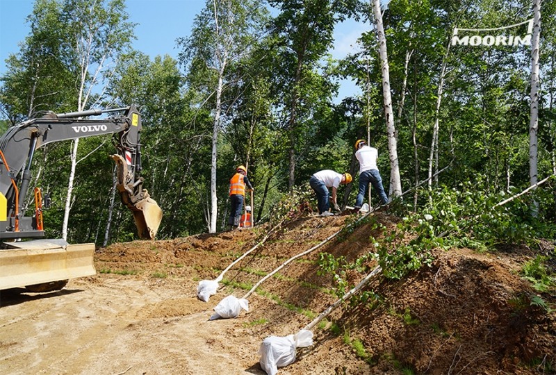 페이퍼어드벤처에서 전시된 15그루 자작나무를 강원도 인제 숲에 돌려보내고 있다. /사진제공=무림