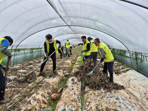 김익수 NH농협금융지주 전략기획부문 부사장(오른쪽 첫 번째)과 봉사단 직원들이 충남 소재 수박 농가에서 피해 복구 작업을 하고 있다. / 사진=NH농협금융 제공