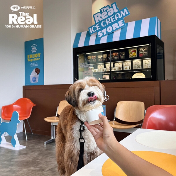 올여름 폭염⋅폭우 변덕스러운 날씨에… 백화점⋅쇼핑몰 내 식음료 팝업 인기