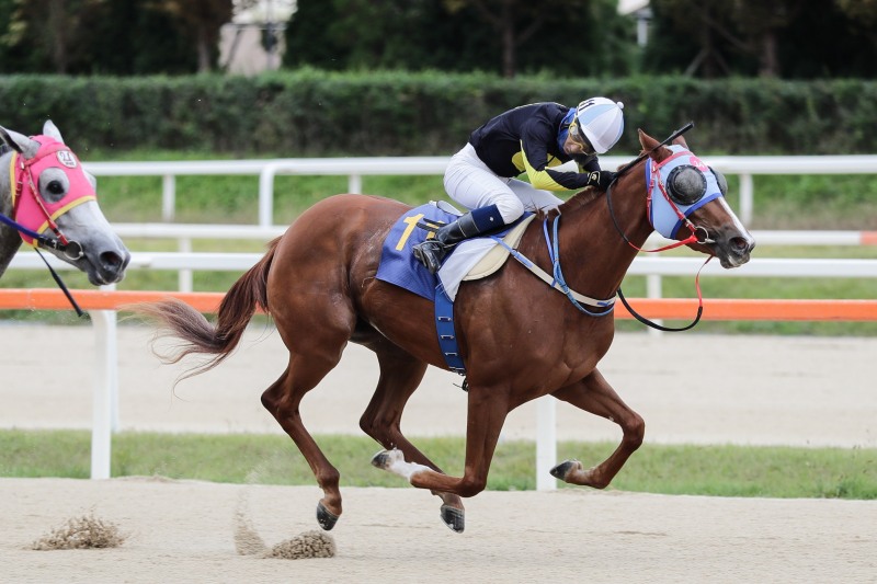 3세 암말 최강의 자리에 올라선 이클립스베리