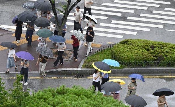 장맛비가 내린 18일 광주 북구청 교차로에 점심시간 외출을 나간 구청 직원들이 업무 복귀를 위해 우산을 쓰고 길을 건너고 있다.