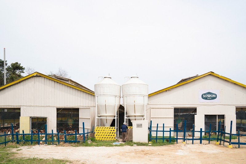 (출처=소원농장)