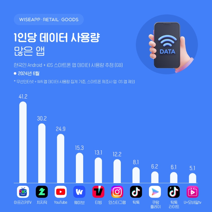 (제공=와이즈앱·리테일·굿즈).