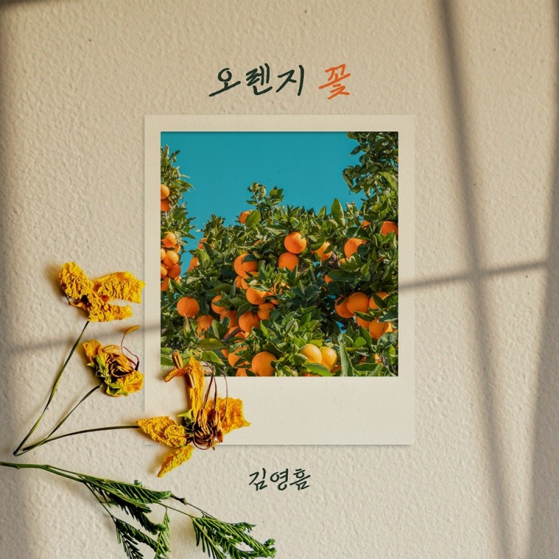 김영흠, 25일 신곡 '오렌지 꽃' 발매…서정적 가사로 '감동 UP'