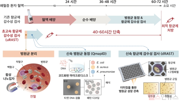 초고속 항균제 감수성 검사(uRAST) 진행 순서