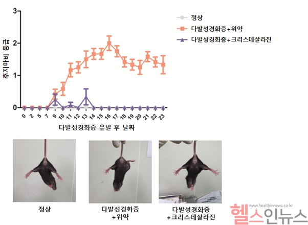 다발성 경화증 동물모델에서 확인된 크리스데살라진의 효과 (지엔티파마 제공)