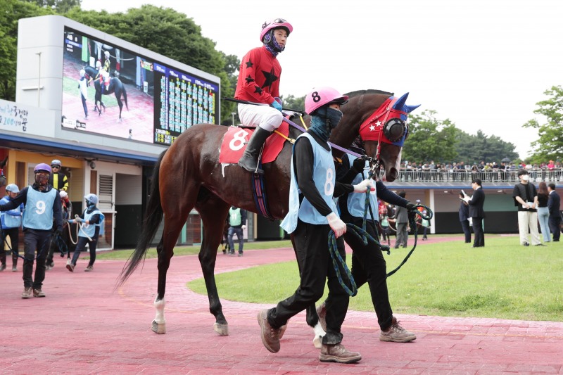 한국경마 7월의 마지막 장식할 하이라이트 1등급 장거리 경주