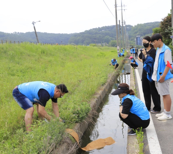 현대제철 가족 봉사단의 금개구리 보전활동_ 생태사다리 설치 모습