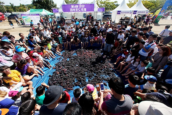 제14회 안산대부포도축제의 떨이 행사인'알뜰하게 줍줍행사"에 참여한 수도권 시민들이 축제를 즐기고 있다.(사진=안산시)