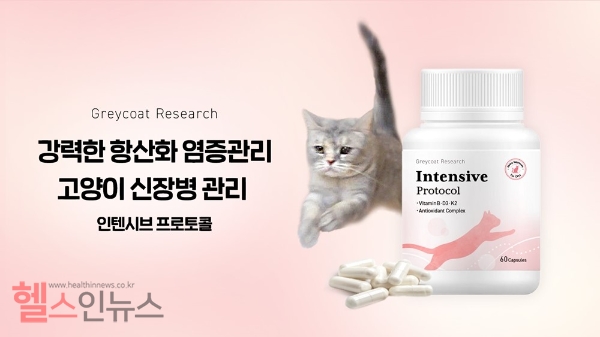 모모그룹의 야옹섬 ‘인텐시브 프로토콜’ 신제품