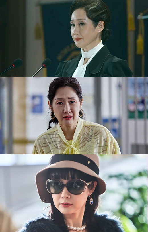 매 작품 키 플레이어로 활약하는 배해선의 캐릭터 소화력