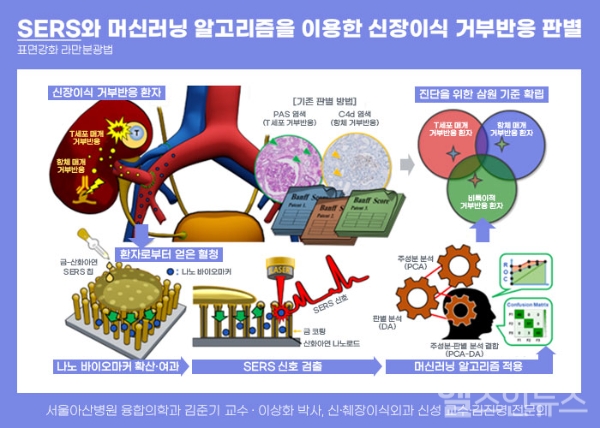 SERS(표면강화 라만분광법)과 머신러닝 알고리즘을 이용한 신장이식 거부반응 판별
