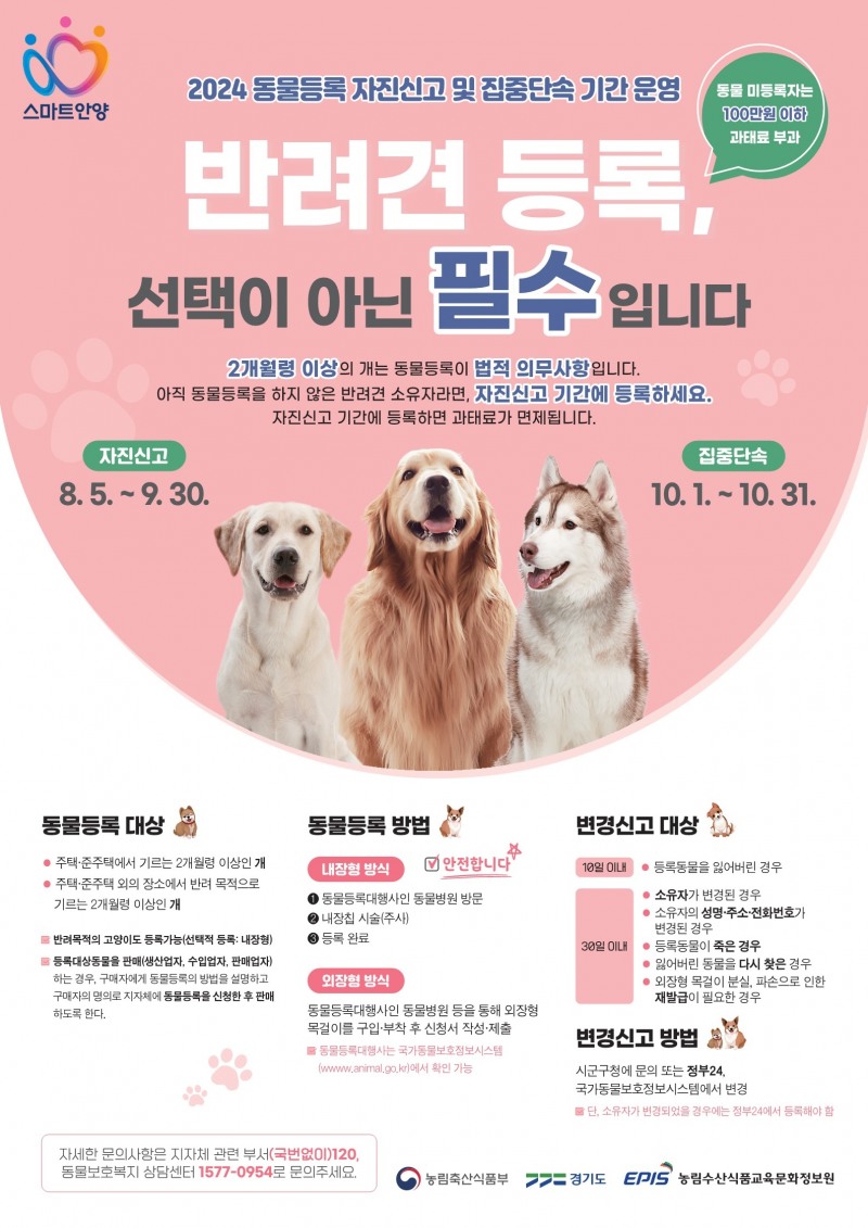 반려견 동물등록 필수…안양시, 9월 말까지 자진신고 기간 운영