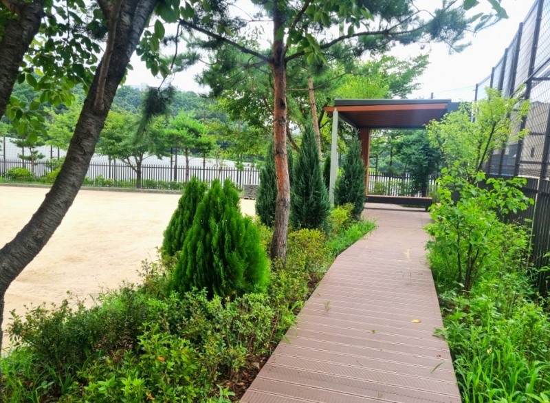 수지구 상현동 중앙예닮학교 운동장에 조성된 '학교 숲'