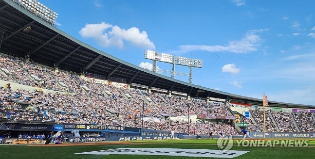 무더위에도 식지 않은 야구 인기