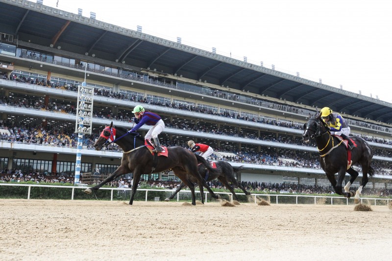 KRA컵 클래식 우승의 글로벌히트와 김혜선 기수