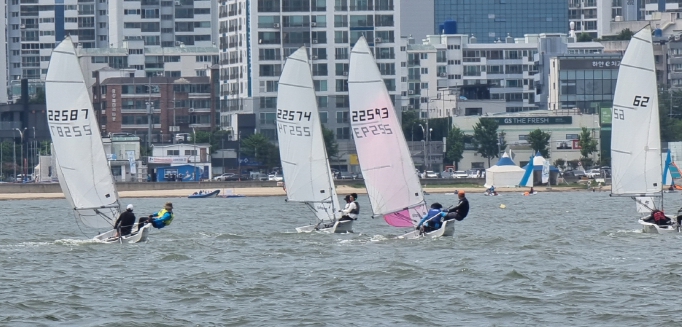 7월 영일대 해수욕장에서 열린 세일링클럽 교류전.