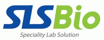 에스엘에스바이오, 주가 급등…공급난 해소 비만약 '위고비' 韓 출시 기대↑