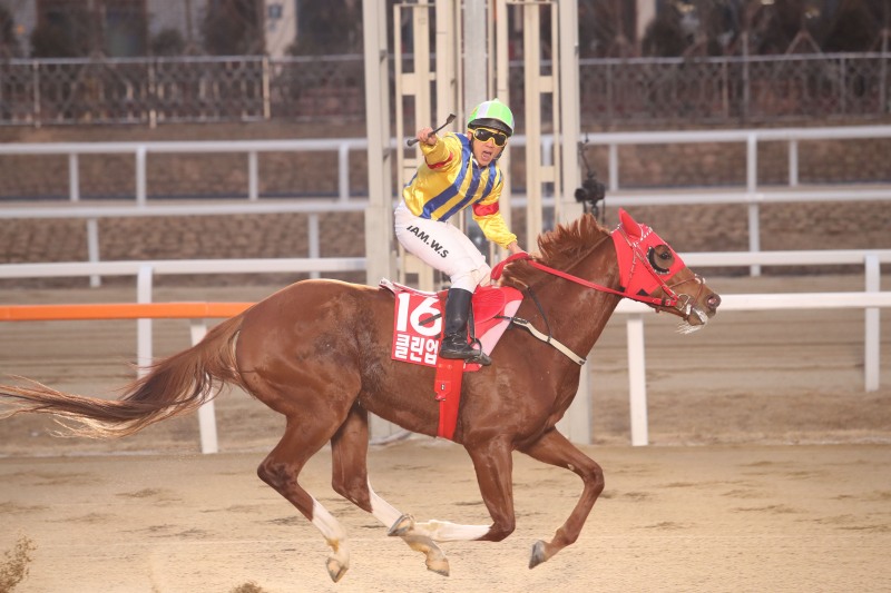 16년 그랑프리 함완식 기수와 클린업조이의 결승선 통과 장면