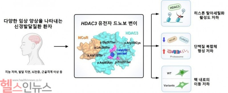 연구 결과 요약 (서울대병원 제공)