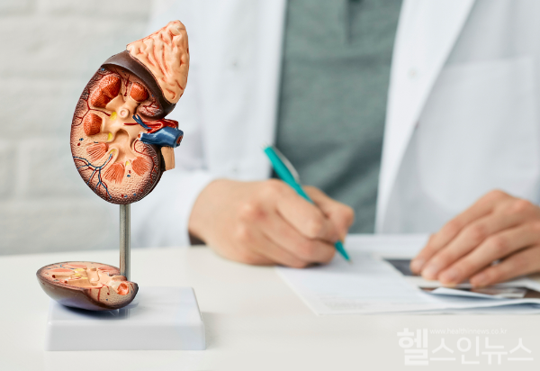 체내 노폐물과 과한 체액을 걸러내고 배출시키는 데 중요한 역할을 하는 장기기관 신장(콩팥)의 건강 유지를 위해 꼭 지켜야 하는 생활 수칙 7가지 (클립아트코리아)