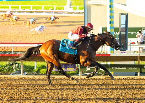 제7회 코리아컵&스프린트‘하드캐리’는 누구?